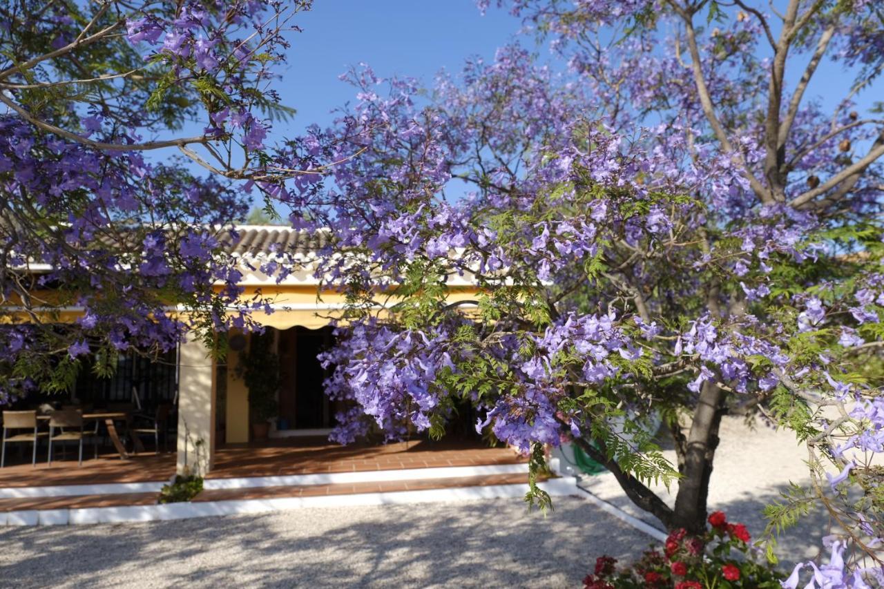 Finca Gordo Ríogordo Exteriör bild