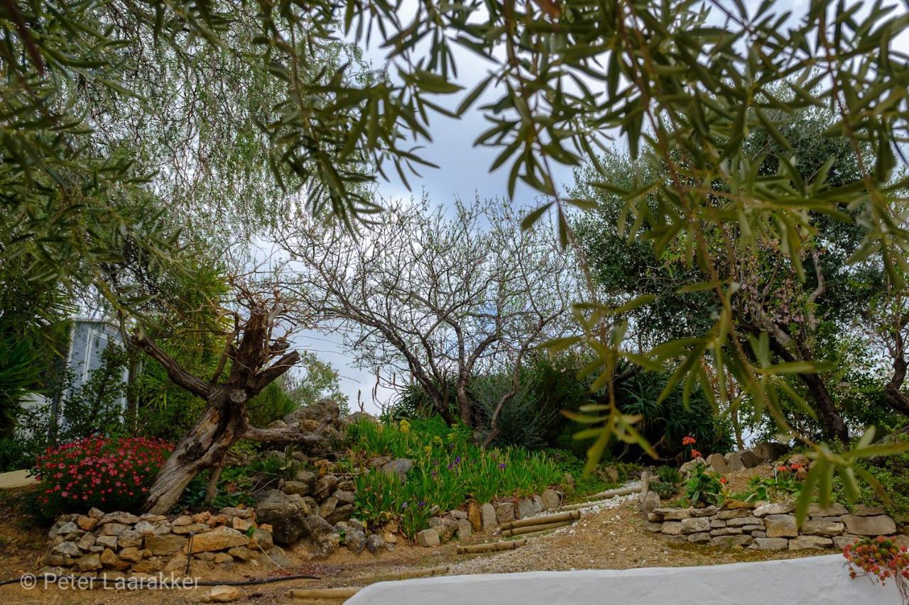 Finca Gordo Ríogordo Exteriör bild